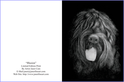 "Illusion" (Black Russian Terrier) Note Cards