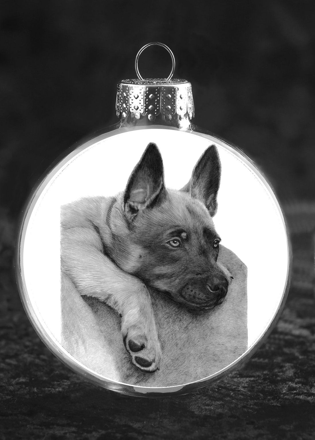 Belgian Malinois