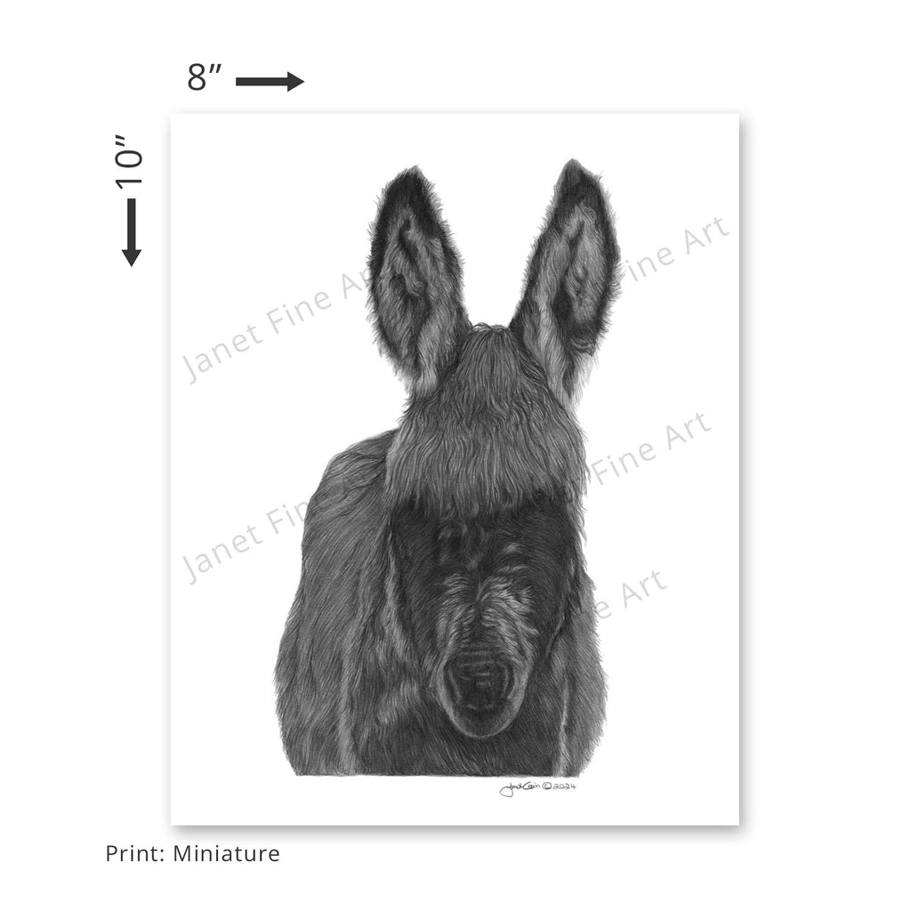 I Love Donkeys