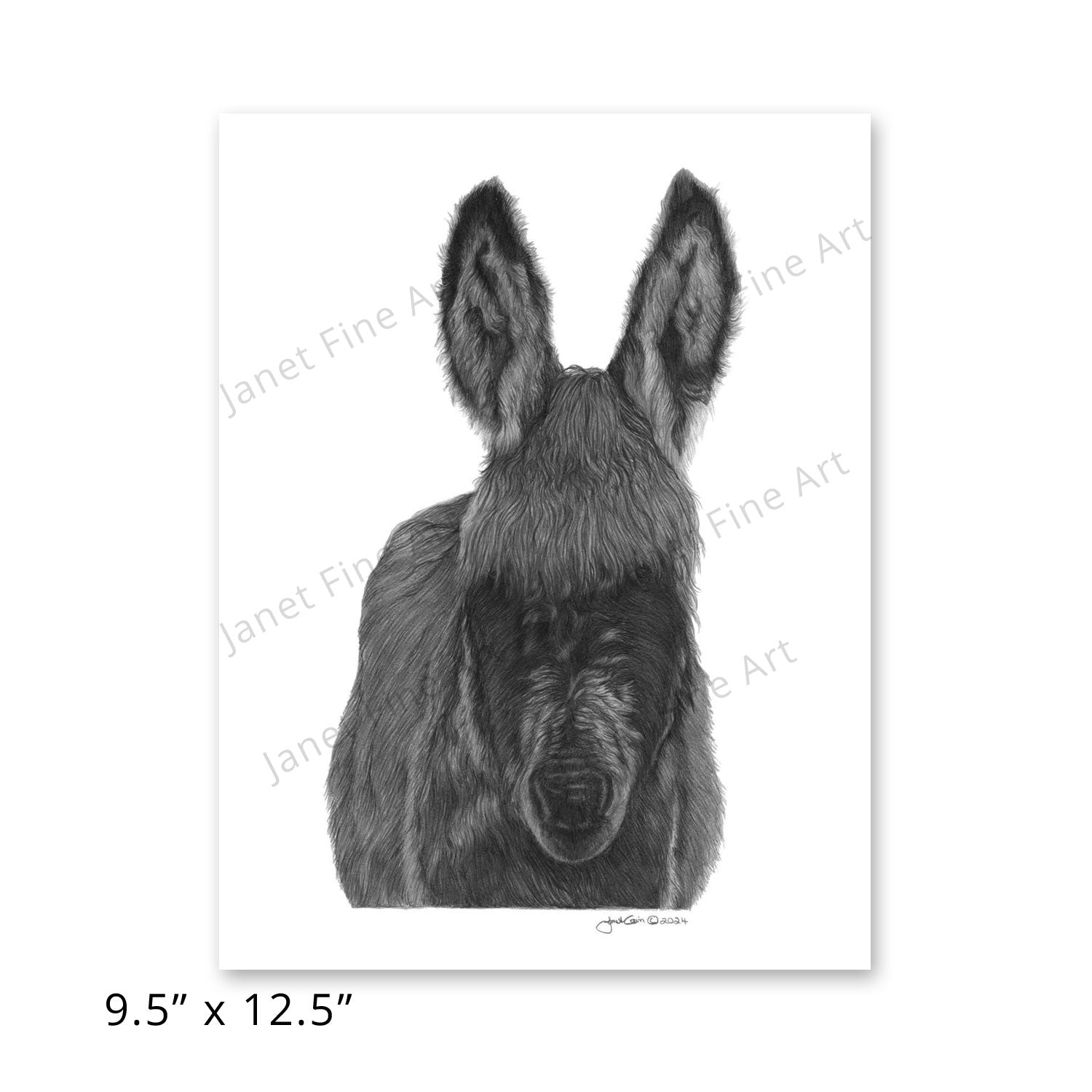 I Love Donkeys – Janet Fine Art