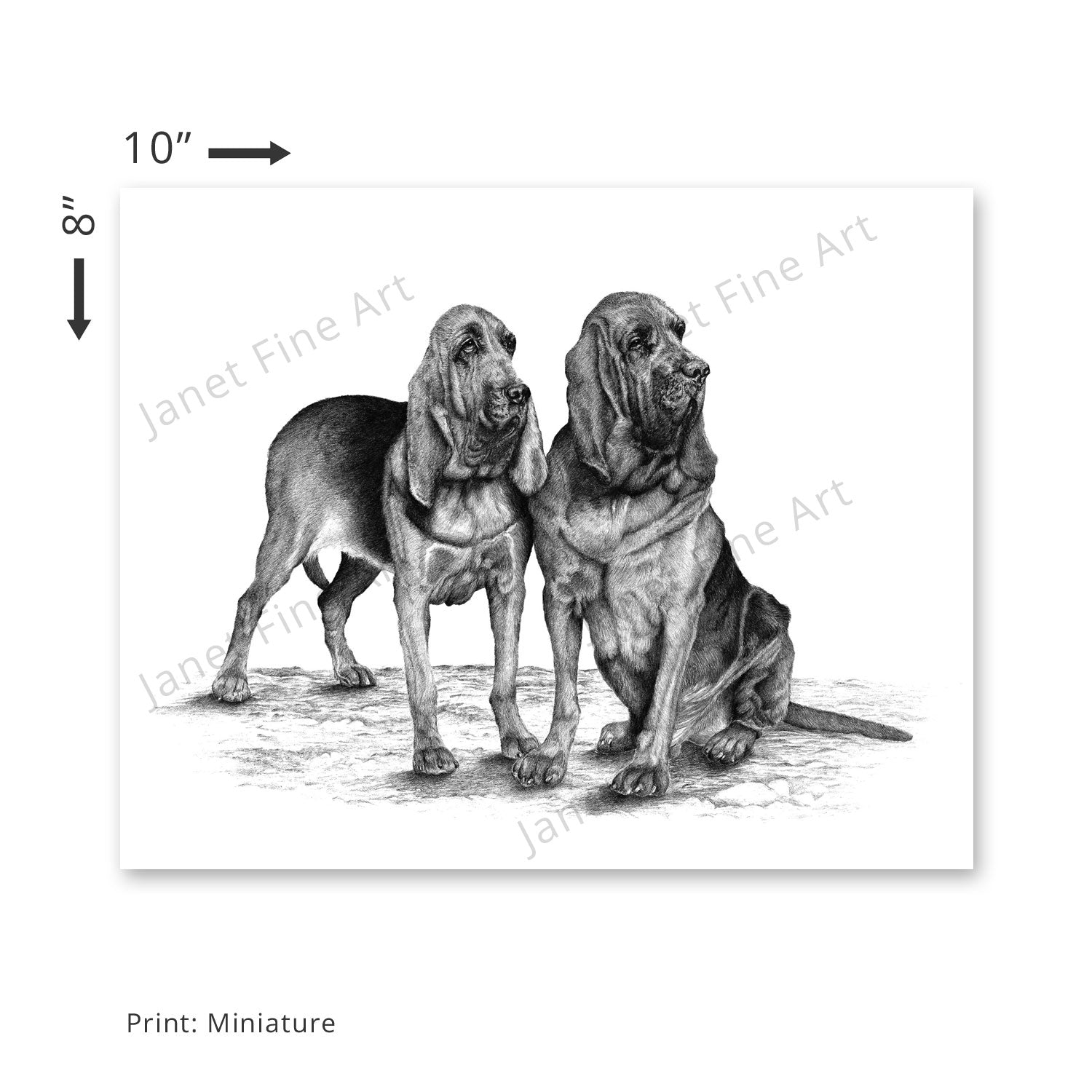 By the Dawn's Early Light