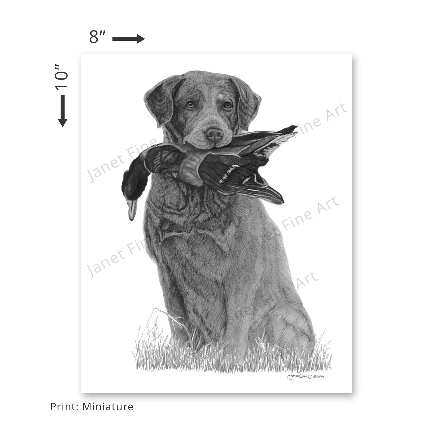 Waterfowl Hunter