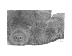 "A Mother's Love" PRINTS & NOTE CARDS