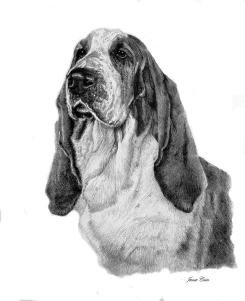 The Basset Miniature Collection (All or Individual) Supporting