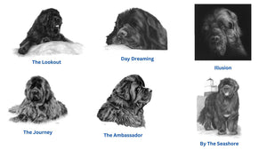 The Newfoundland Miniature Collection (All or Individual)
