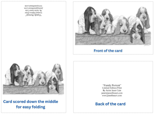 "Family Portrait" Basset Note Cards