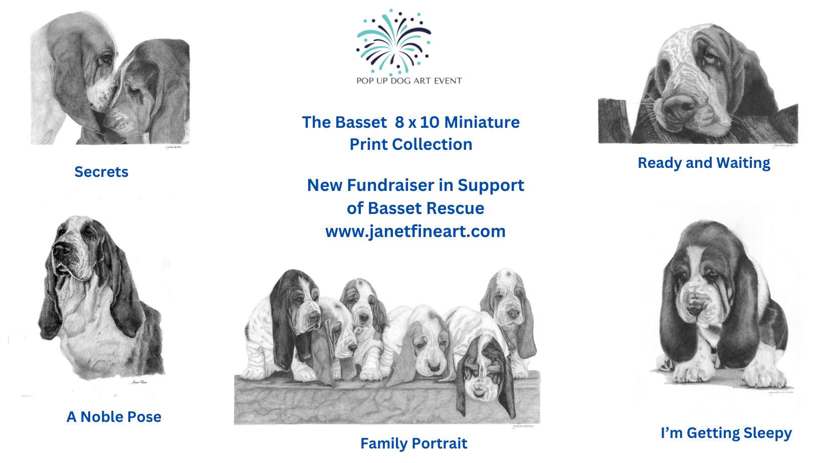 Basset Hound "Miniature" and "Notecard" Supporting Mid-Atlantic Basset Hound Rescue