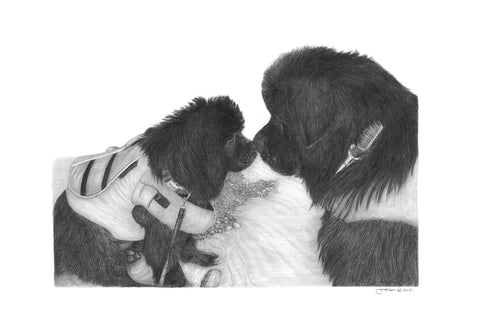 "Big Brother" MINIATURE - Newfoundland