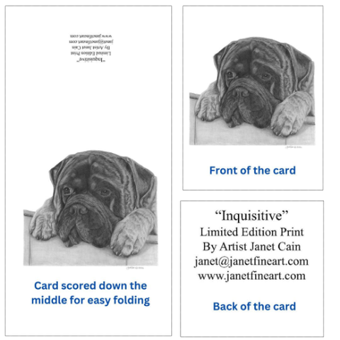 "Inquisitive" Bullmastiff Note Cards