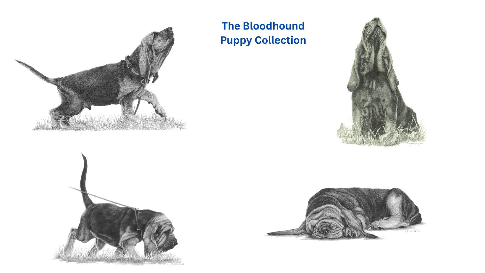 The Bloodhound Puppy Miniature Collection (All or Individual)