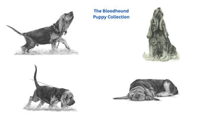 The Bloodhound Puppy Miniature Collection (All or Individual)