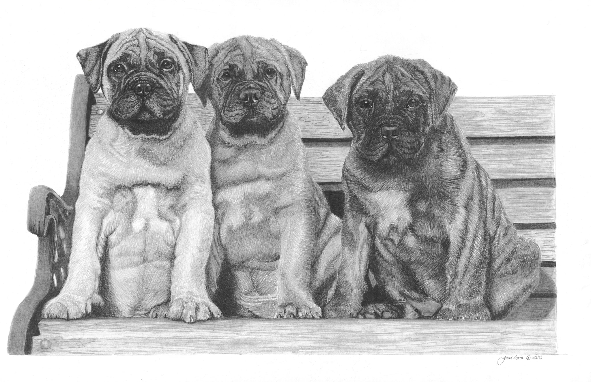 "Buddies"  MINIATURE - Bullmastiff