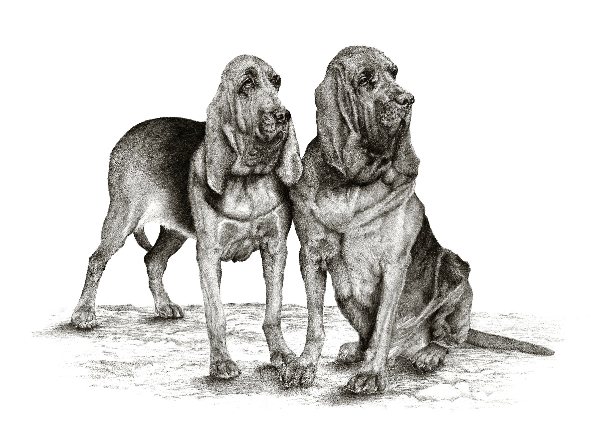 "By Dawn's Early Light" Bloodhound MINIATURE