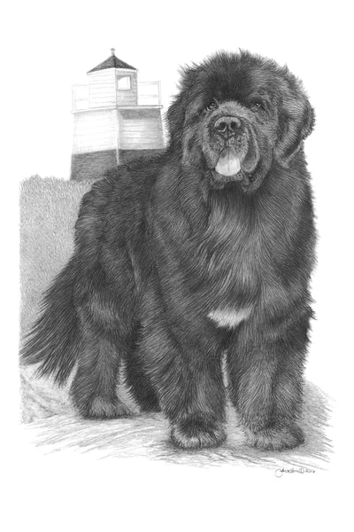 The Newfoundland Miniature Collection (All or Individual)