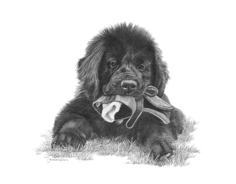"Caught in the Act" MINIATURE - Newfoundland