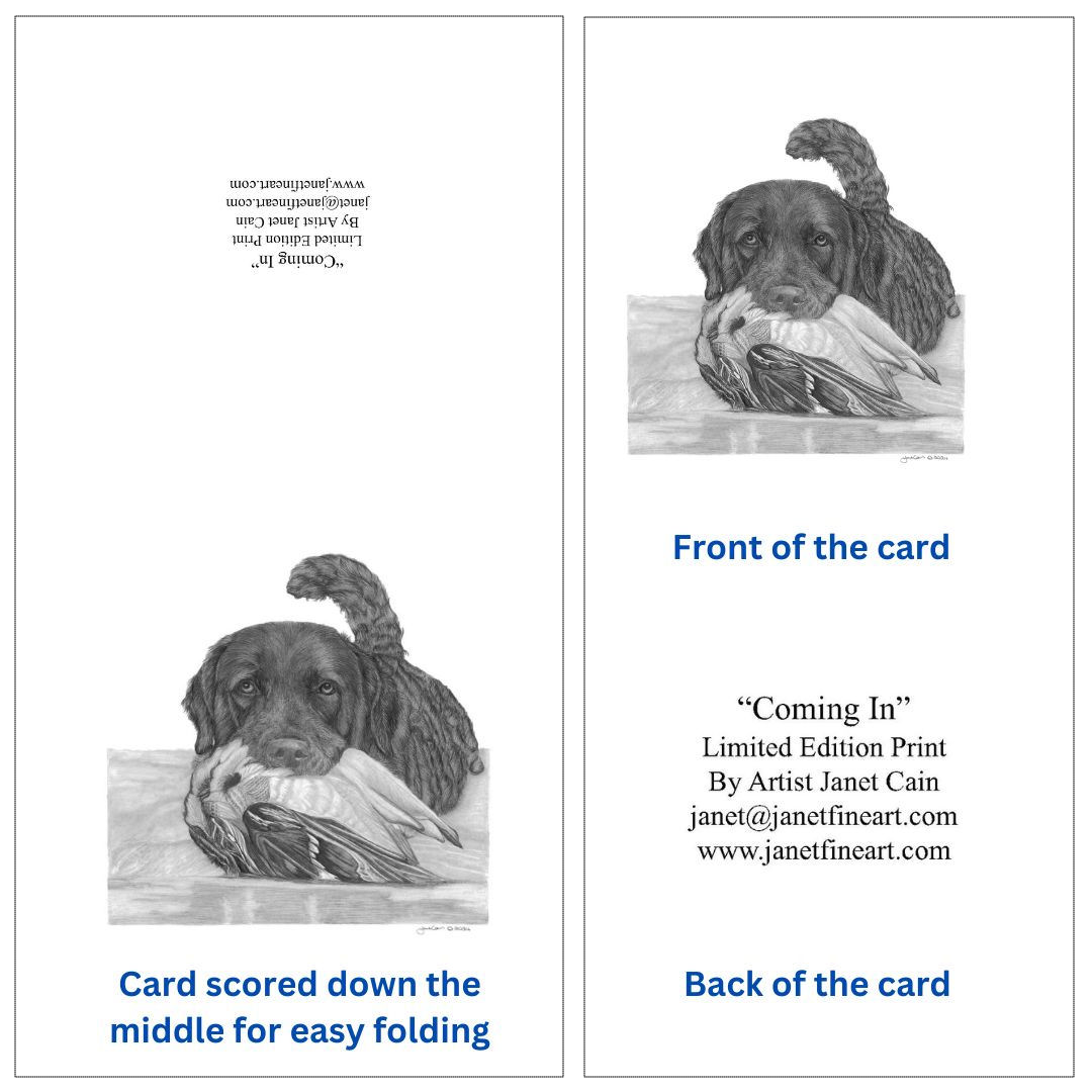 "Coming In" Chesapeake Bay Retriever Note Cards