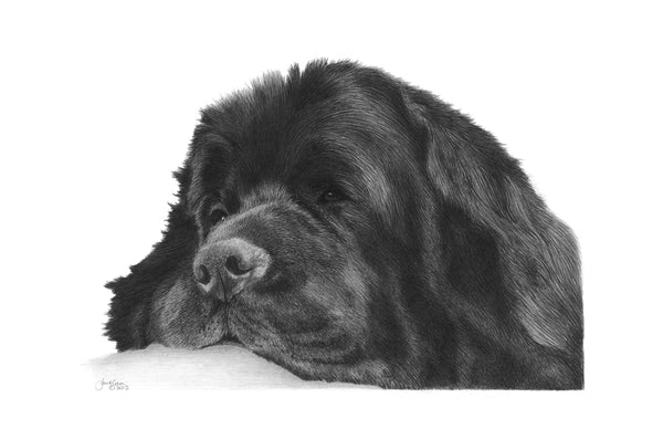 The Newfoundland Miniature Collection (All or Individual)