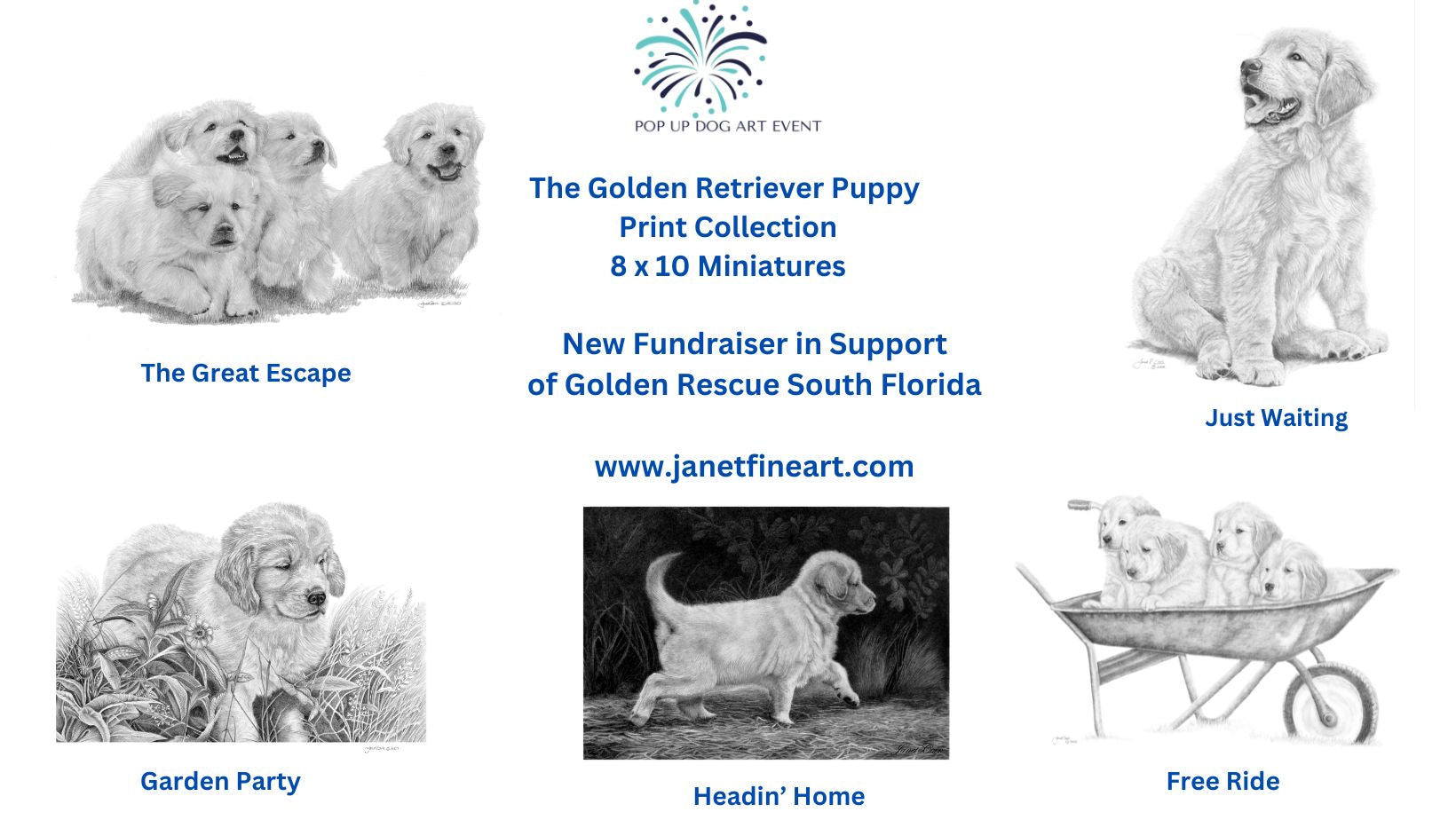 Golden Retriever "Miniature" Supporting Golden Rescue of South Florida