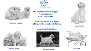 Golden Retriever "Miniature" Supporting Golden Rescue of South Florida