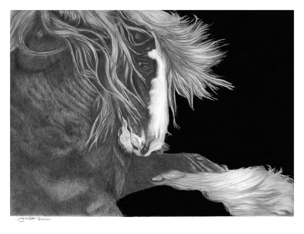 "Heart of A Warrior" The Gypsy Vanner Horse PRINTS and NOTE CARDS