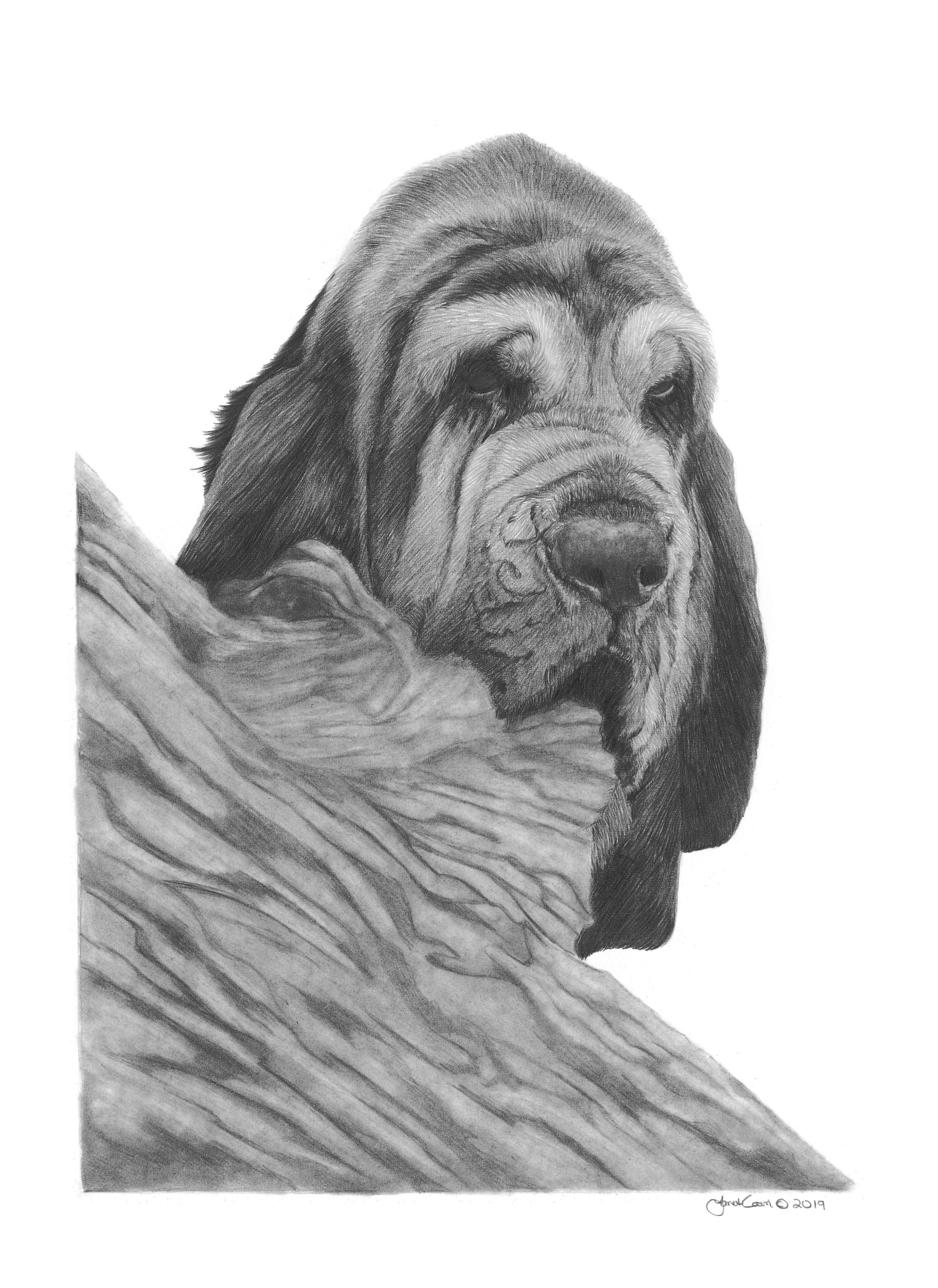 "Hide And Seek" Bloodhound MINIATURE