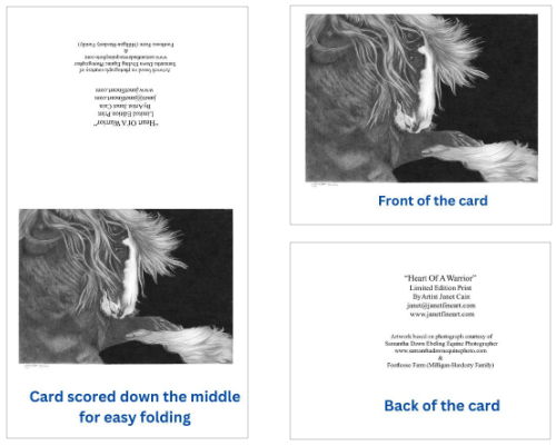 "Heart of A Warrior" The Gypsy Vanner Horse PRINTS and NOTE CARDS