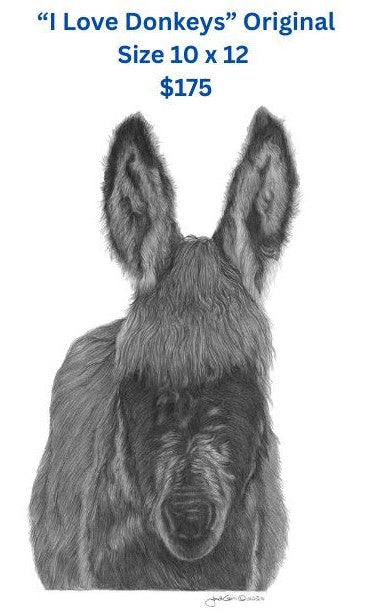 "I Love Donkeys" (ORIGINAL)