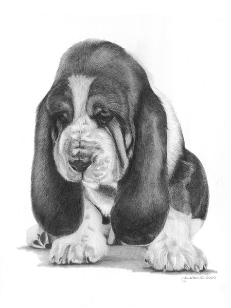 The Basset Miniature Collection (All or Individual) Supporting