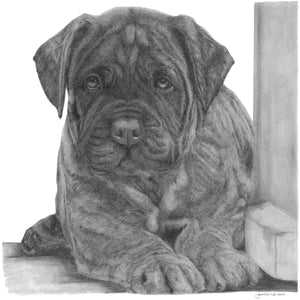 "I've Got This"  MINIATURE - Bullmastiff