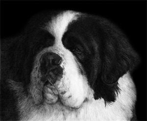 "Illusion"  MINIATURE - Saint Bernard