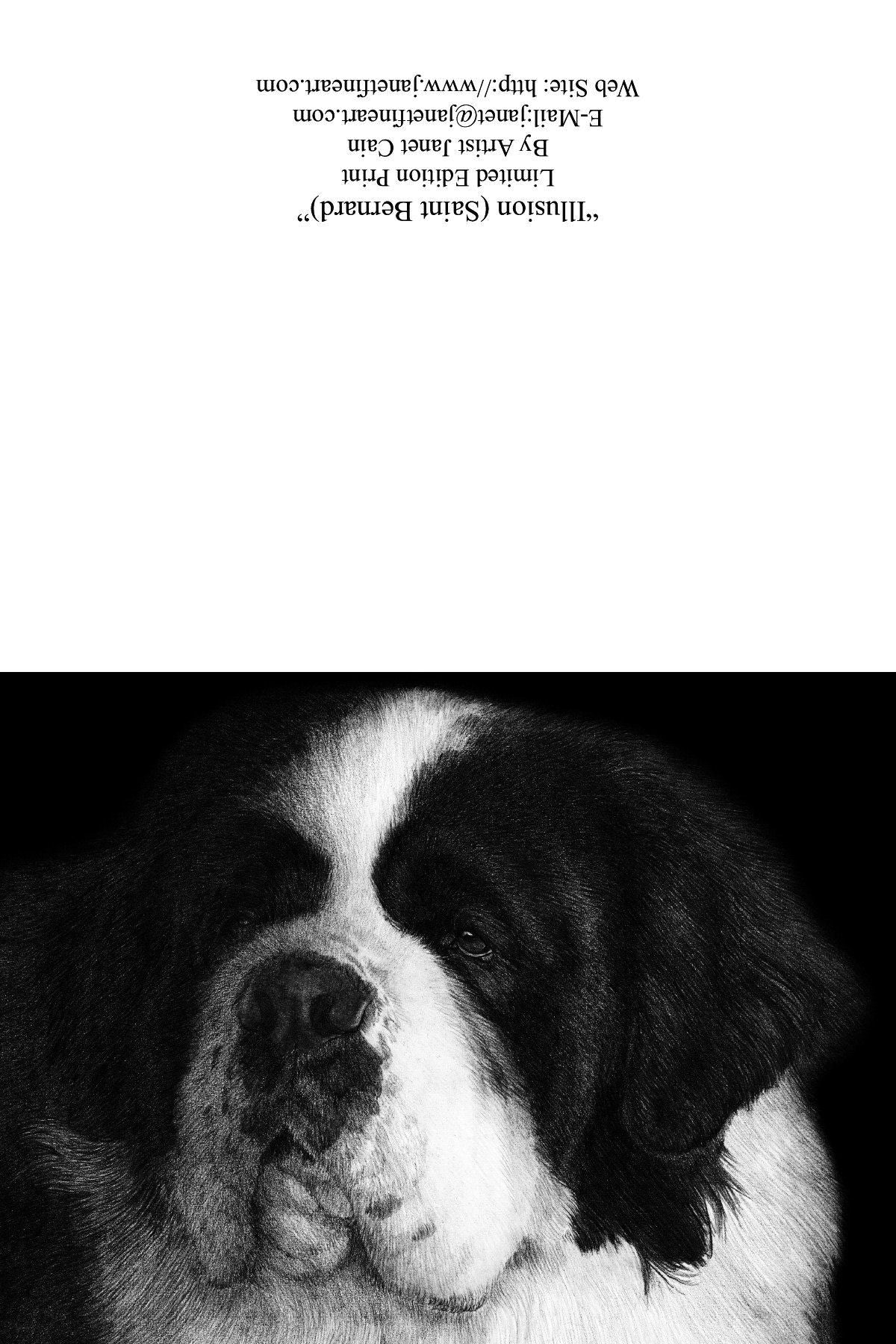 "Illusion" NOTE CARDS - Saint Bernard