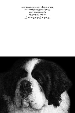 "Illusion" NOTE CARDS - Saint Bernard