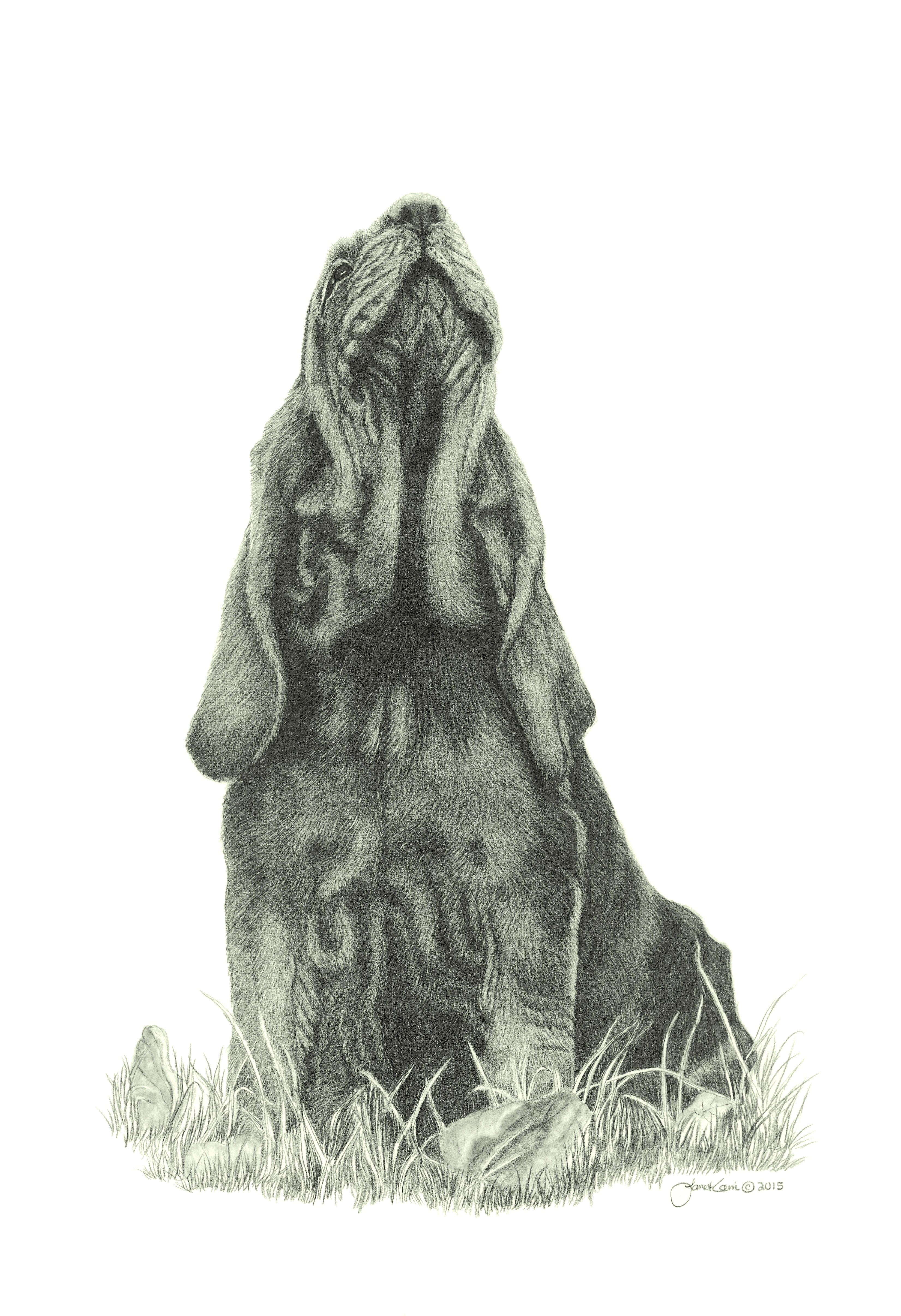 "In The Air" Bloodhound MINIATURE