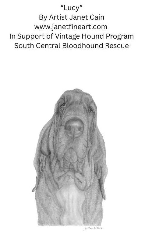 "Lucy" NOTE CARDS - Bloodhound