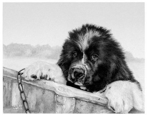 "Maiden Voyage" MINIATURE - Newfoundland