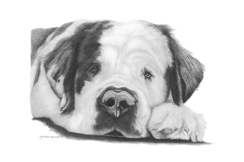 "Make a Wish"  MINIATURE - Saint Bernard