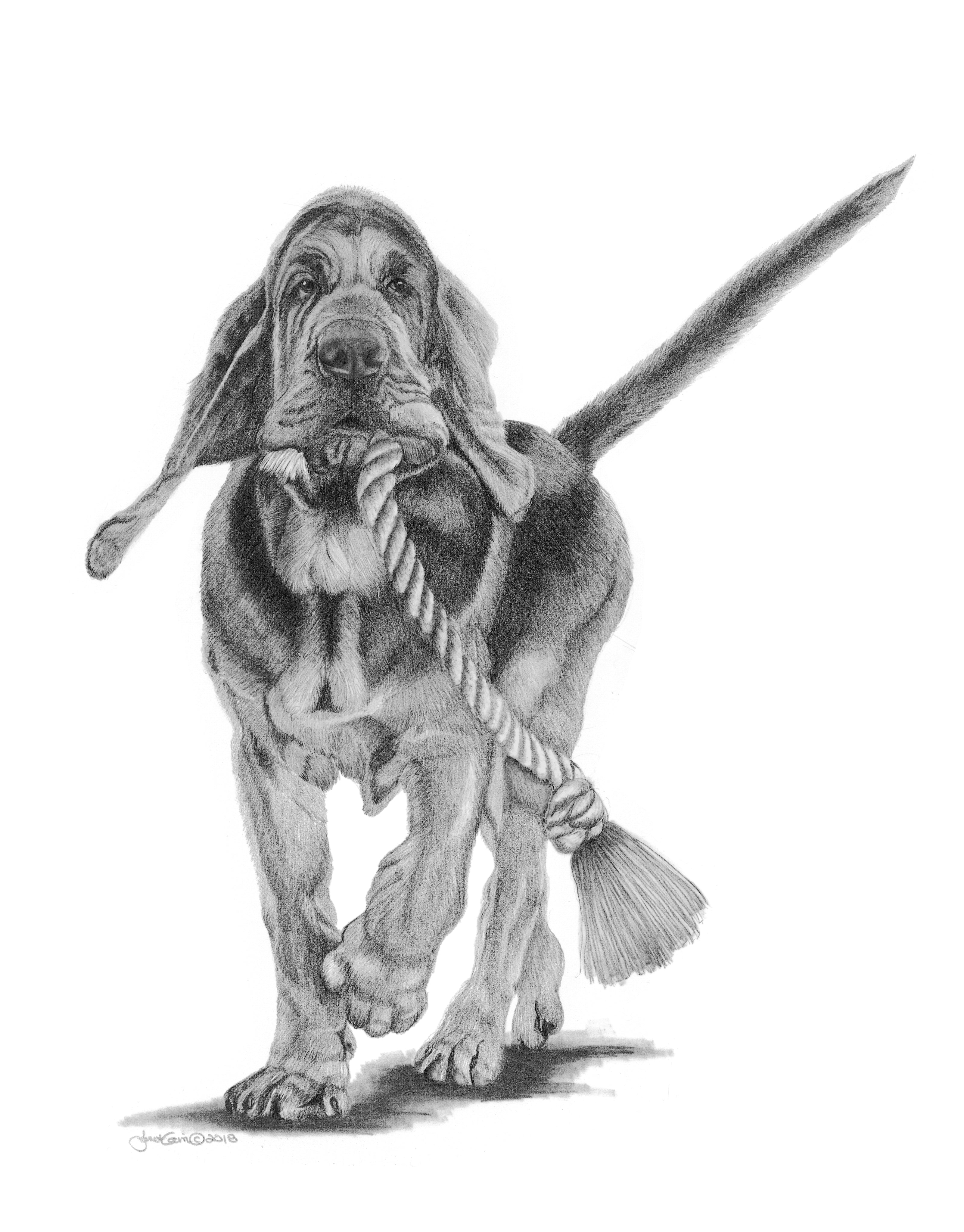 "My Favorite Toy" Bloodhound MINIATURE