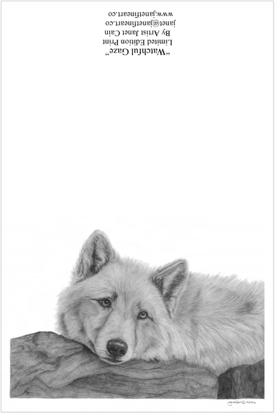 Prints for "Random Act Of Kindness" Supporting Wildlife Sanctuaries "Watchful Gaze" (Wolf)