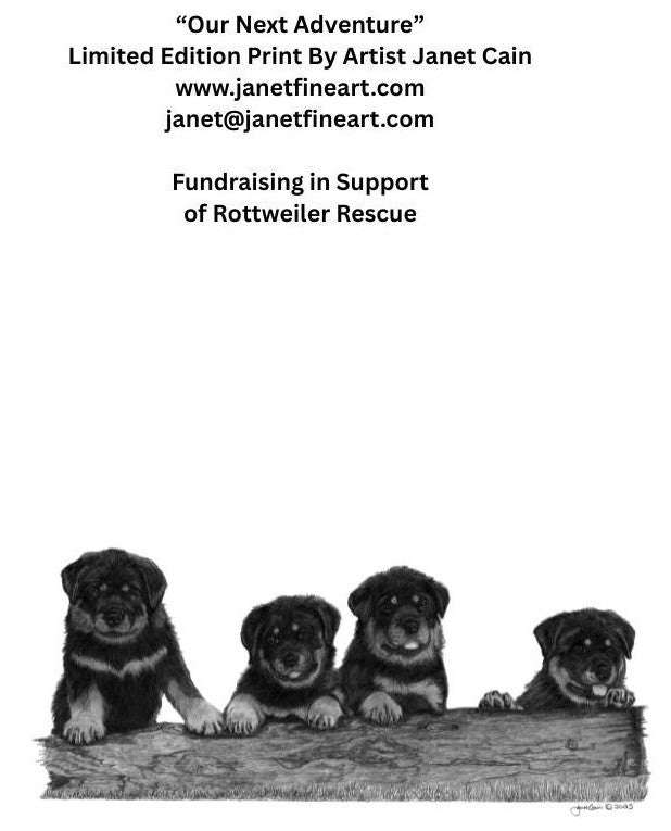 "Our Next Adventure" NOTECARDS - Rottweiler