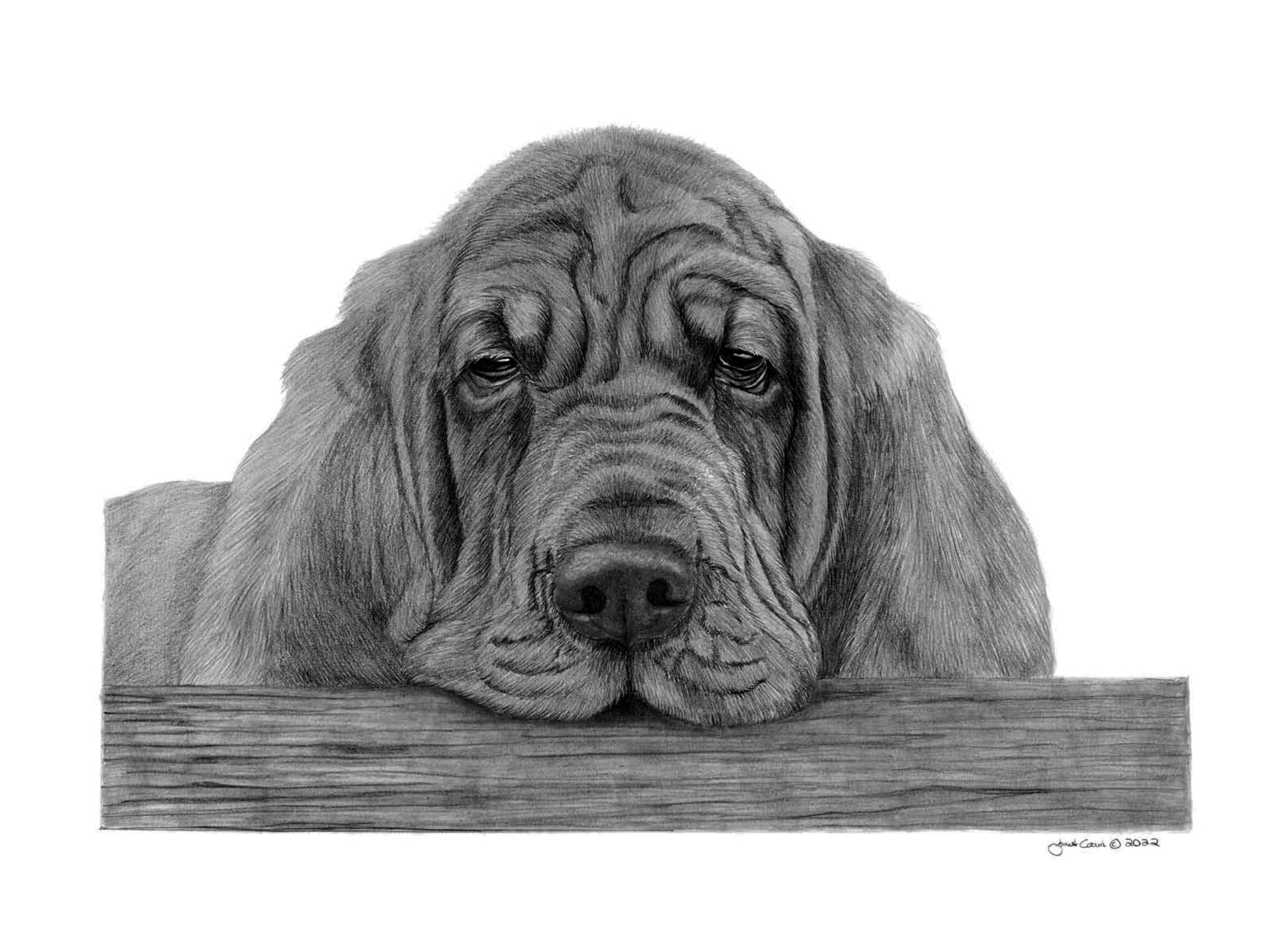 "Penny For Your Thoughts" Bloodhound MINIATURE