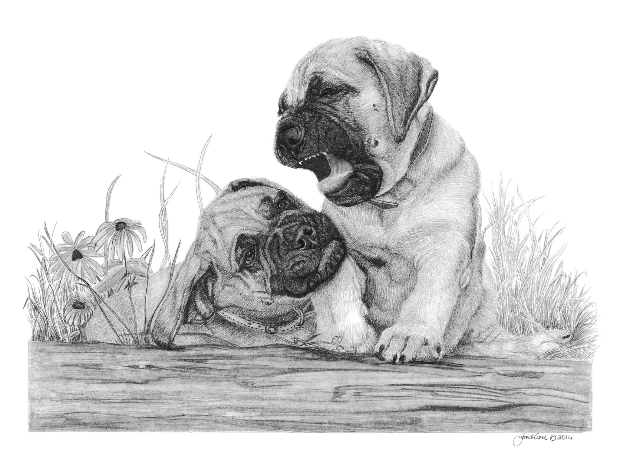 "Playtime"  MINIATURE - Bullmastiff
