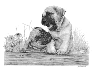 "Playtime"  MINIATURE - Bullmastiff
