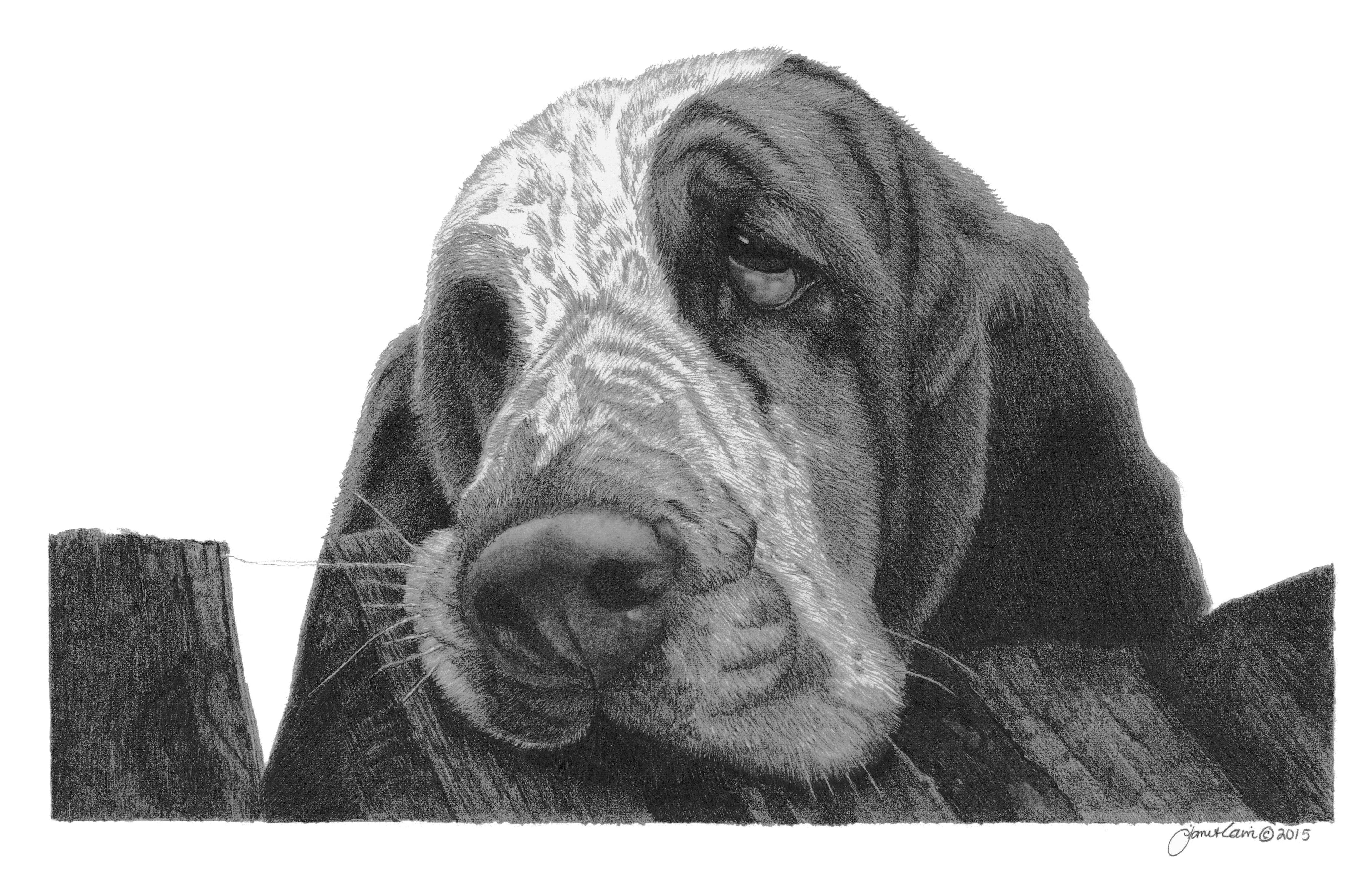 "Ready and Waiting" Basset MINIATURE