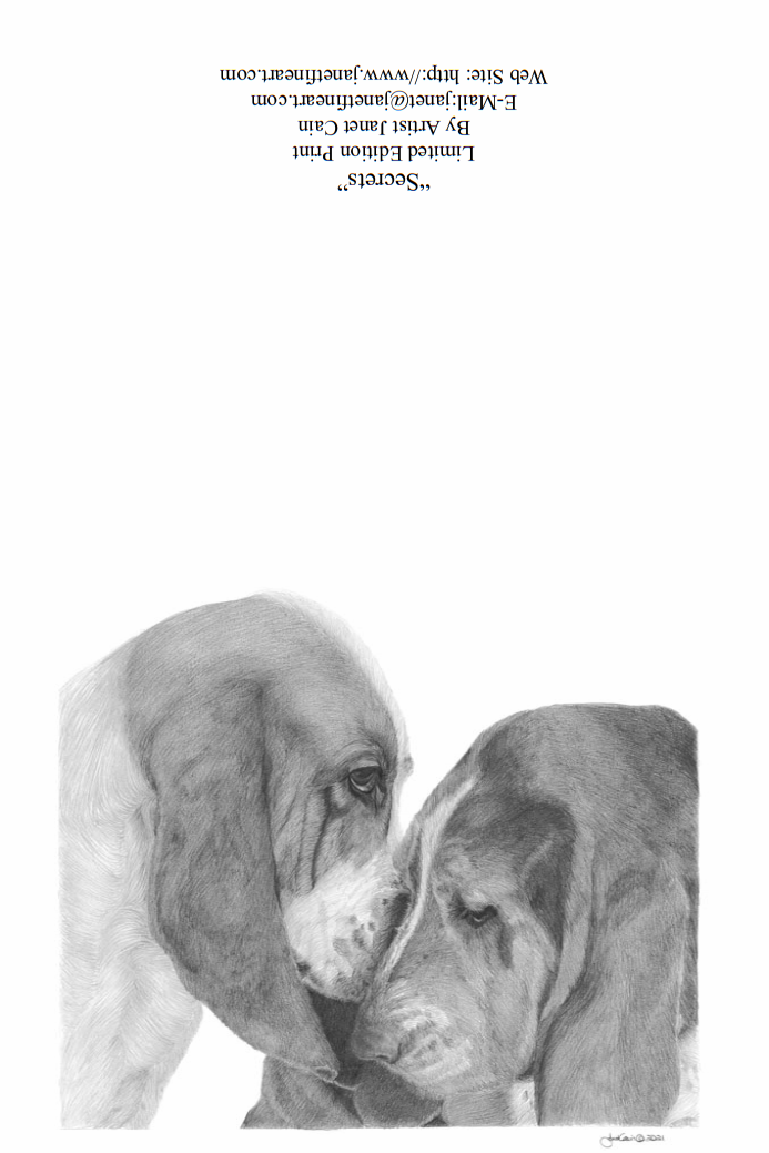 "Secrets" Basset Note Cards