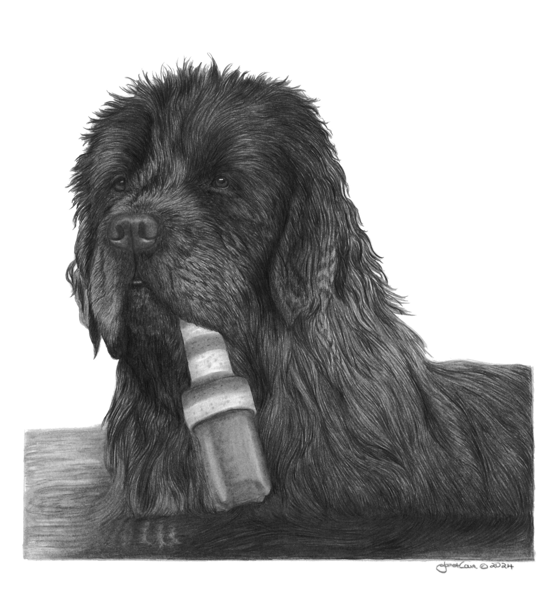 "Single Retrieve" MINIATURE - Newfoundland