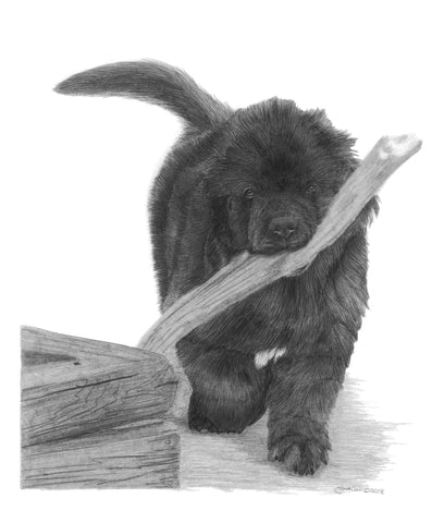 "So Proud" MINIATURE - Newfoundland