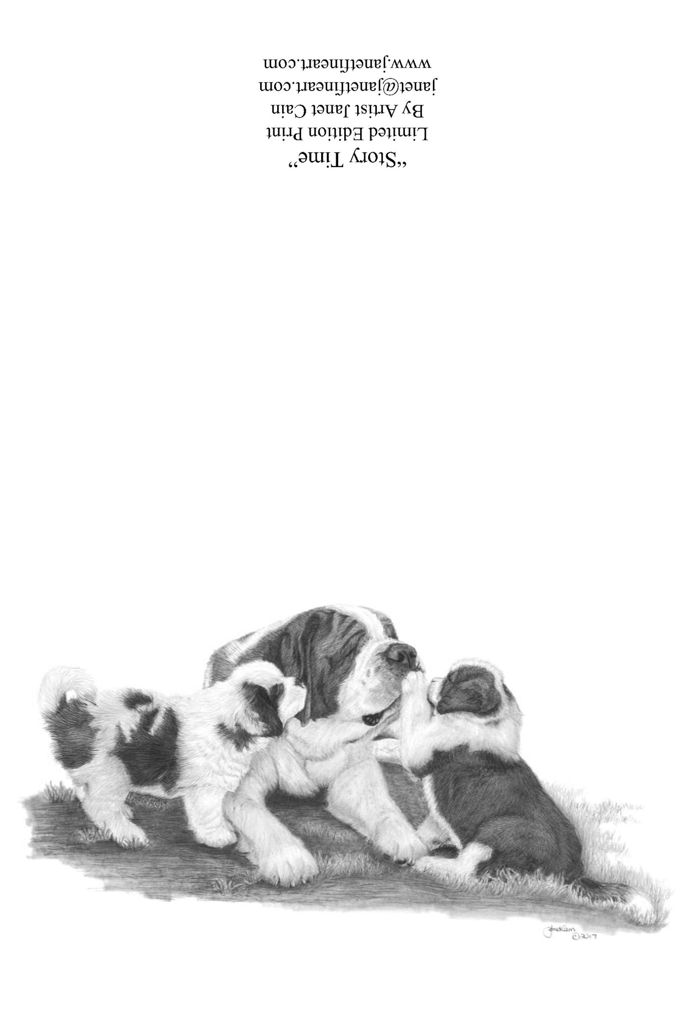 "Story Time" NOTE CARDS - Saint Bernard