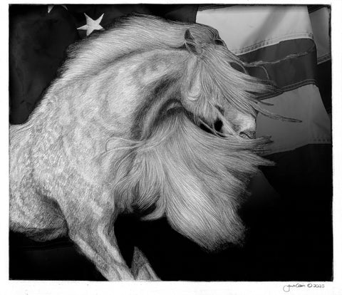 "The Patriot" The Patriotic Collection