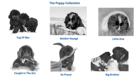 The Newfoundland Puppy Miniature Collection (All or Individual)