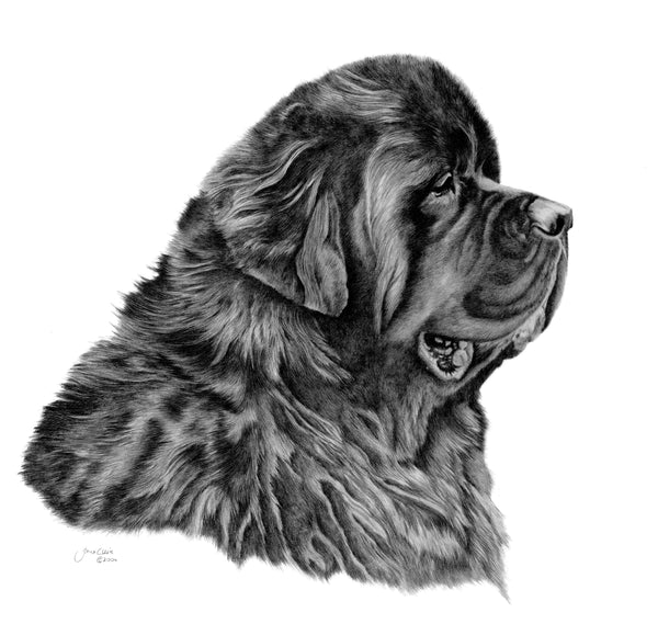 The Newfoundland Miniature Collection (All or Individual)